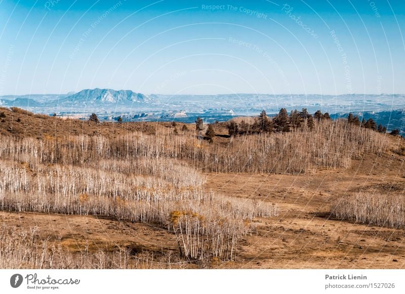 West of the Rockies Wohlgefühl Zufriedenheit Sinnesorgane Erholung Ferien & Urlaub & Reisen Ausflug Abenteuer Ferne Freiheit Berge u. Gebirge Umwelt Natur