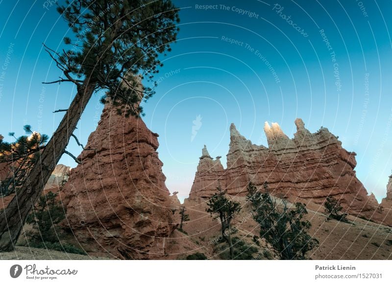 Bryce Canyon Sinnesorgane Erholung Ferien & Urlaub & Reisen Tourismus Ausflug Abenteuer Ferne Freiheit Sightseeing Expedition Berge u. Gebirge wandern Natur