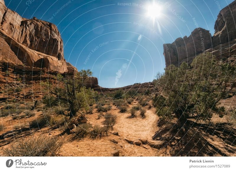 Wüstensonne Ferien & Urlaub & Reisen Abenteuer Sommer Sonne Berge u. Gebirge Umwelt Natur Landschaft Urelemente Sand Klima Klimawandel Wetter Schönes Wetter