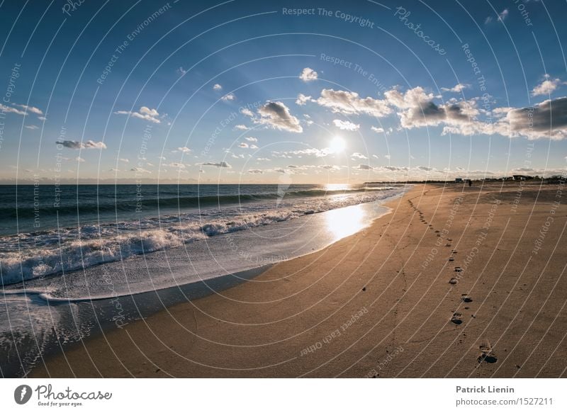 Jenseits der Fünf Sinne schön Ferien & Urlaub & Reisen Abenteuer Freiheit Sonne Strand Meer Wellen Umwelt Natur Landschaft Sand Himmel Wolken Sommer Klima