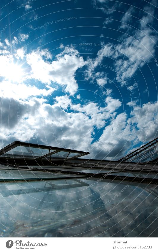 glashaus Sommer Garten Gewächshaus Glas Spiegel Sonne Himmel Wolken Reflexion & Spiegelung Hochformat positiv Optimismus Optimist Licht Fenster Fensterscheibe