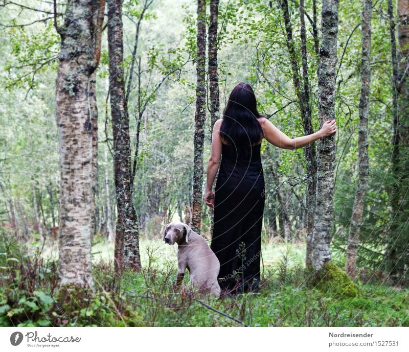 Zwischen Birken harmonisch Sinnesorgane Erholung ruhig Ferien & Urlaub & Reisen Ausflug Ferne Freiheit Mensch feminin Frau Erwachsene Natur Urelemente Baum Gras