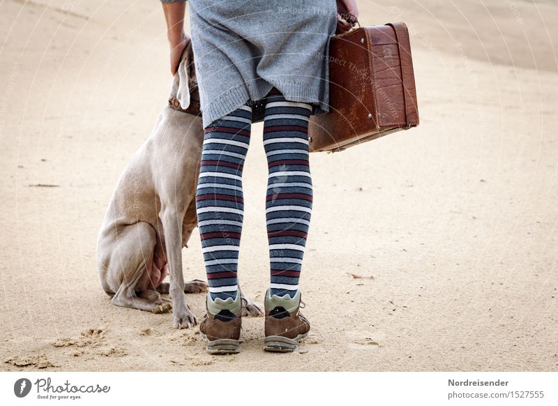 Mit Koffer und Hund Mensch feminin Frau Erwachsene Sand Wüste Rock Kleid Wanderschuhe Tier warten kaputt Willensstärke Mut Schutz Einigkeit loyal Sympathie