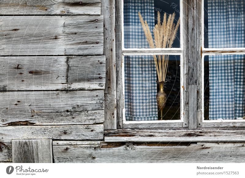 Fischerkate Dorf Fischerdorf Menschenleer Haus Hütte Gebäude Architektur Fassade Fenster Holz Glas Häusliches Leben maritim retro Stadt ruhig nachhaltig