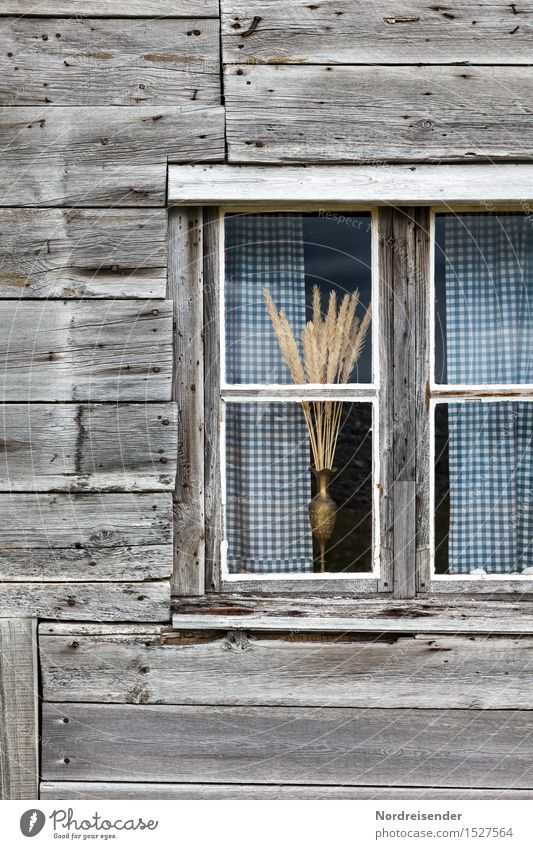 Dekoration Renovieren Dekoration & Verzierung Dorf Fischerdorf Menschenleer Haus Hütte Architektur Fassade Fenster Blumenstrauß Holz Häusliches Leben