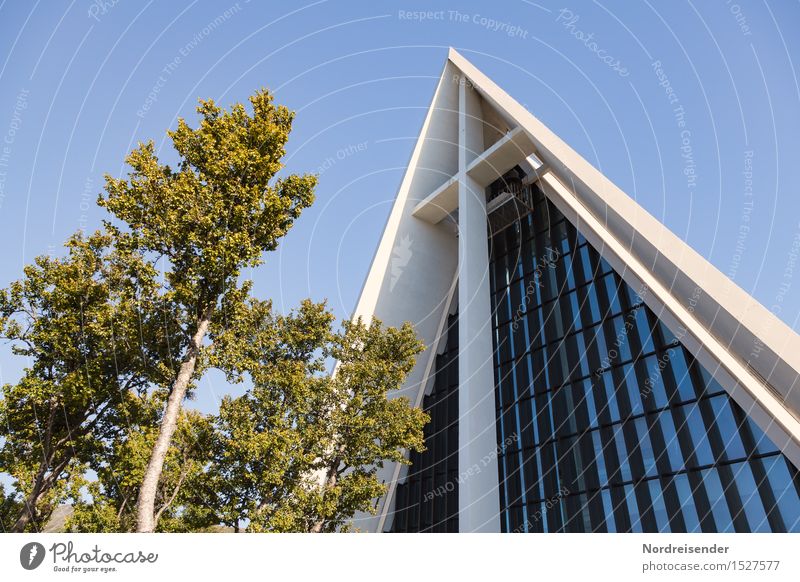 Eismeerkathedrale Ferien & Urlaub & Reisen Städtereise Wolkenloser Himmel Schönes Wetter Baum Stadt Stadtzentrum Kirche Bauwerk Gebäude Architektur Fassade