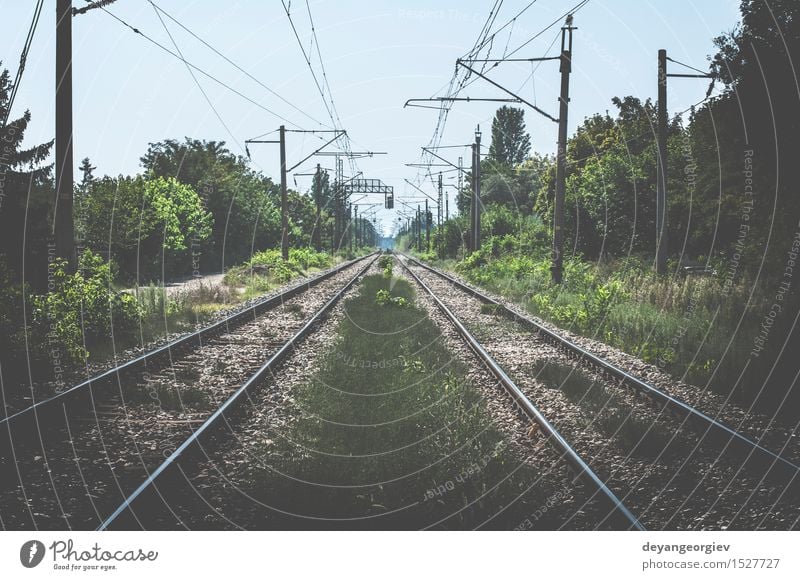 Zwei Eisenbahnen Ferien & Urlaub & Reisen Ausflug Industrie Natur Landschaft Himmel Horizont Verkehr Straße Wege & Pfade Stahl Linie Perspektive Spuren Schiene