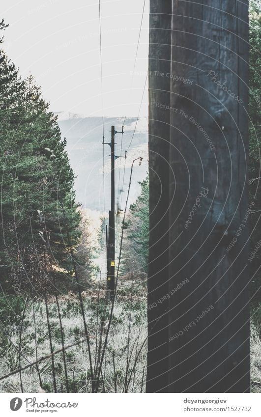 Vintage elektrische Stangen Industrie Telefon Technik & Technologie Natur Himmel Wald Holz Linie alt retro blau Energie Mast altehrwürdig Kraft Höhe Draht