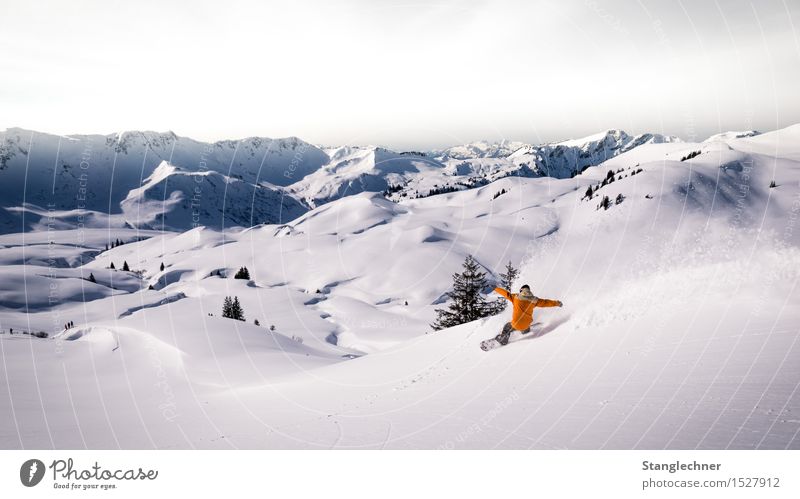 Powder Snowboard Snowboarding Snowboarder Tiefschnee Pulverschnee backcountry Mensch maskulin Leben 1 Natur Landschaft Himmel Sonne Winter Wetter Schönes Wetter