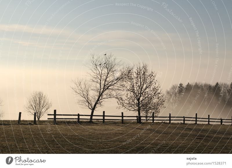 herbstnebel Umwelt Natur Landschaft Pflanze Himmel Herbst Wetter Nebel Baum Wiese stehen ästhetisch Zufriedenheit Stimmung herbstlich Herbstwetter Wolken Zaun