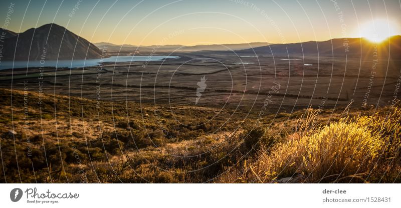 Berg am See Ferien & Urlaub & Reisen Ferne Freiheit Sommer Sonne Insel Berge u. Gebirge Umwelt Natur Landschaft Pflanze Tier Erde Wasser Himmel