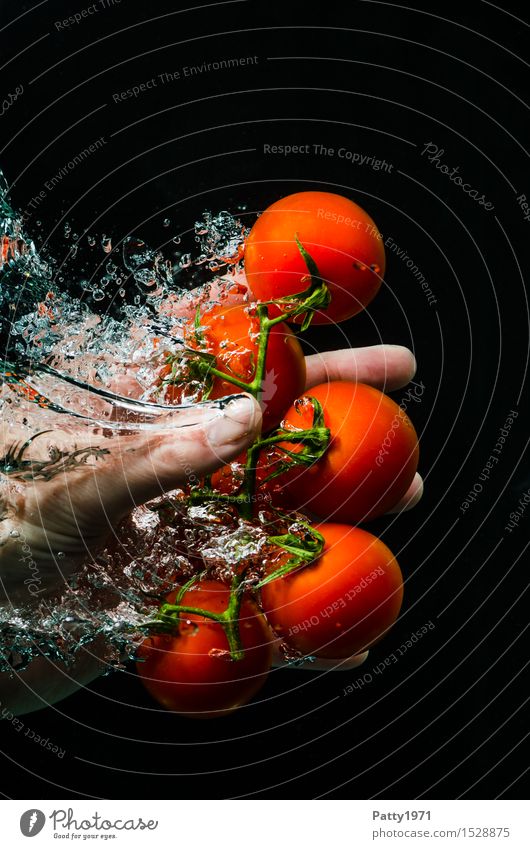 Tomaten Gemüse Bioprodukte Vegetarische Ernährung Diät Trinkwasser Gesunde Ernährung Hand Finger frisch Gesundheit lecker nass natürlich grün rot genießen