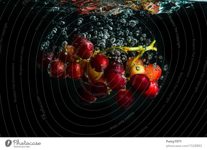 Trauben Lebensmittel Frucht Weintrauben Bioprodukte Vegetarische Ernährung Diät Trinkwasser Gesunde Ernährung frisch Gesundheit lecker nass natürlich rot