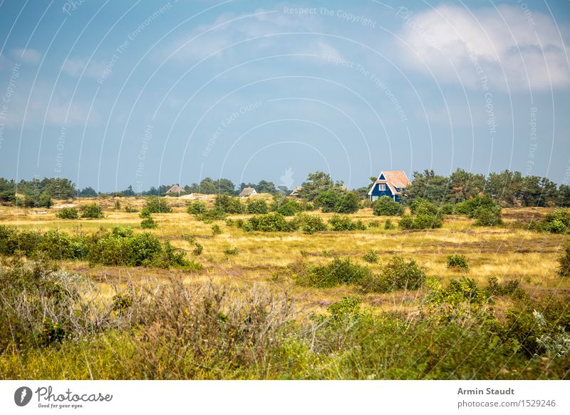 Ferienhaus - Hiddensee Lifestyle Reichtum harmonisch Zufriedenheit Erholung ruhig Ferien & Urlaub & Reisen Tourismus Sommerurlaub Insel Haus Natur Landschaft