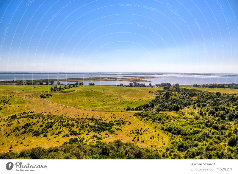 Landschaft - Hiddensee Ferien & Urlaub & Reisen Tourismus Ausflug Sommer Sommerurlaub Meer Insel Natur Wolkenloser Himmel Schönes Wetter Sträucher Wiese Hügel