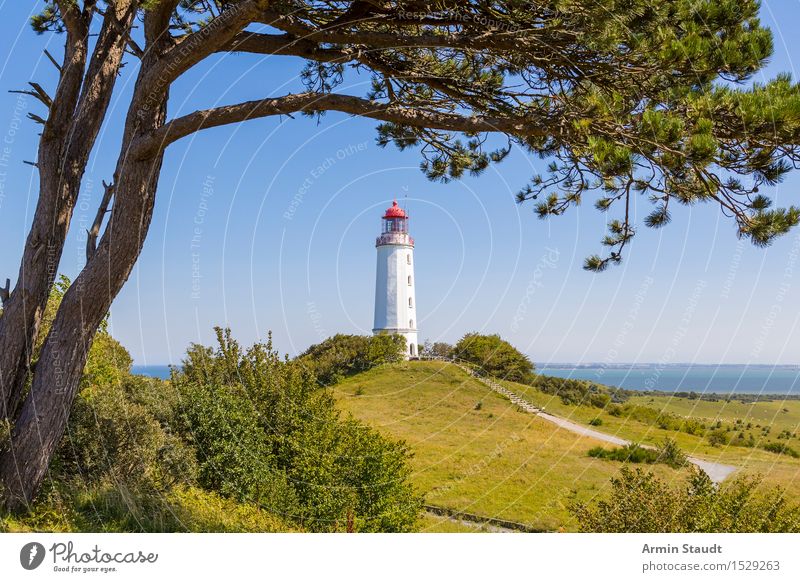 Leuchtturm Hiddensee Ferien & Urlaub & Reisen Tourismus Ausflug Ferne Sommer Sommerurlaub Insel Natur Wolkenloser Himmel Schönes Wetter Baum Hügel Küste Ostsee