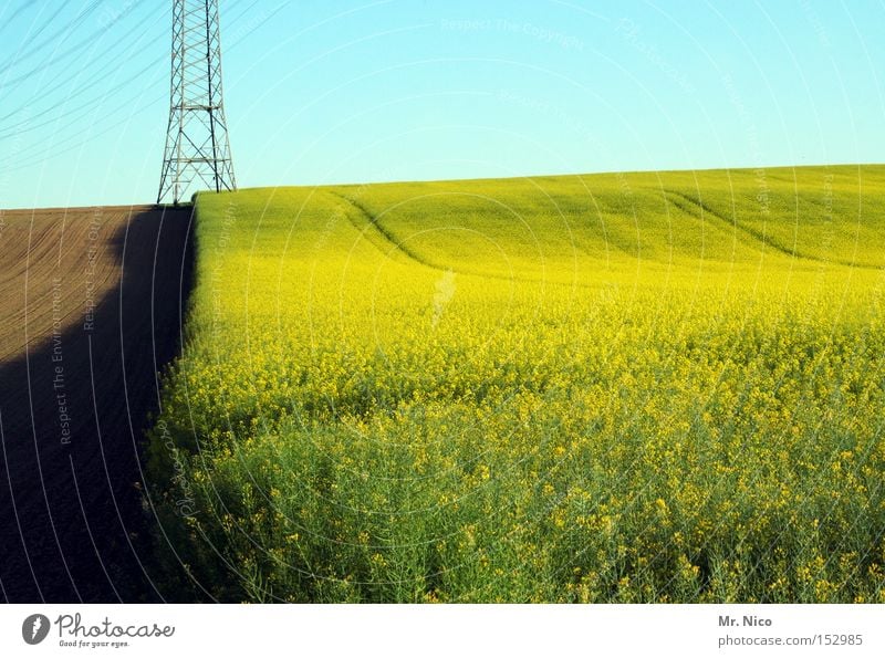 energiefeld Kraft Raps Rapsfeld Feld Ernte Landwirtschaft Natur gelb grün Grenze Rohstoffe & Kraftstoffe Umwelt Elektrizität Energiewirtschaft Wärme Deutschland