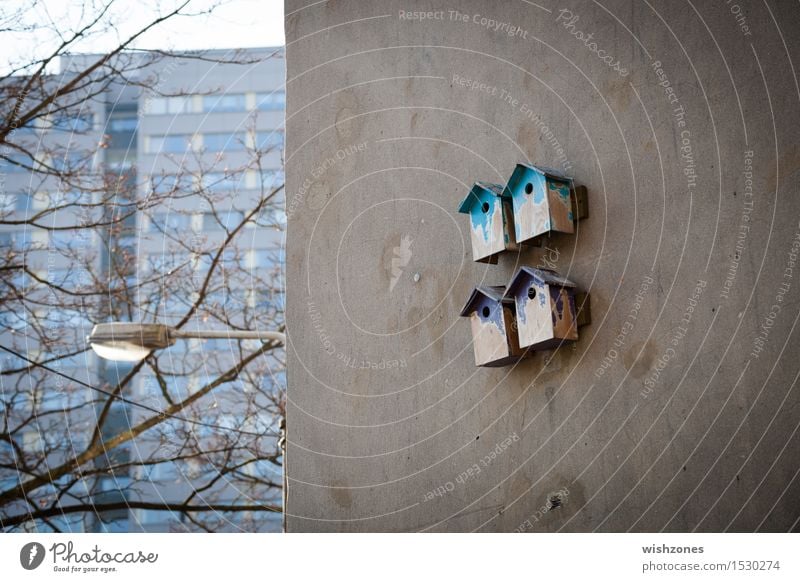 Birdhouses and people houses heimwerken Häusliches Leben Wohnung Haus Hausbau Renovieren Umzug (Wohnungswechsel) Berlin-Mitte Stadt Stadtzentrum Einfamilienhaus