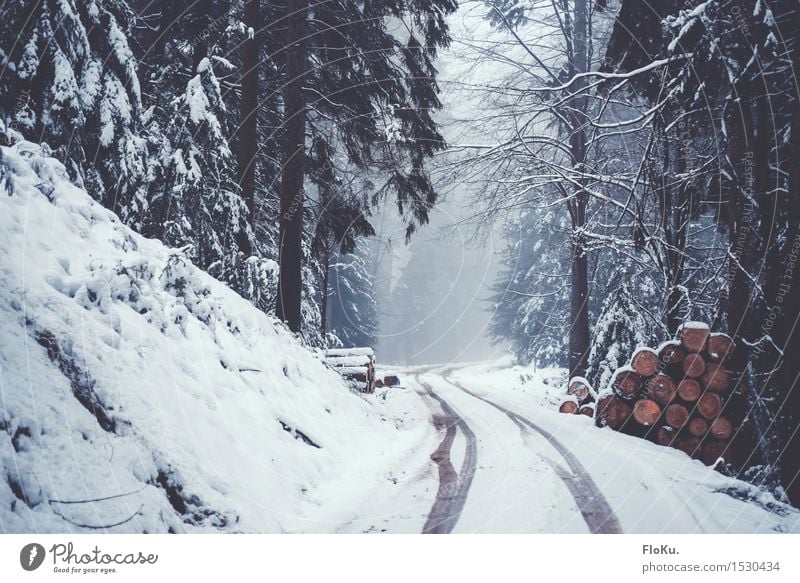 Winternebel Umwelt Natur Wetter schlechtes Wetter Eis Frost Schnee Baum Wald kalt nass natürlich grau weiß Stimmung Schwarzwald Straße Wege & Pfade Reifenspuren