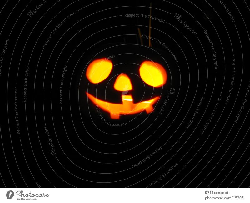 Halloween Licht Jahreszeiten Herbst Kerze dunkel verloren Einsamkeit Handwerk Kürbis Angst orange Gesicht potter harry Freude Gebiss Nase Karneval