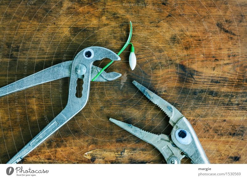 ......willst du mich heiraten? Zwei Zangen mit Augen und einem Schneeglöckchen auf einem alten Holztisch Arbeit & Erwerbstätigkeit Beruf Handwerker Arbeitsplatz