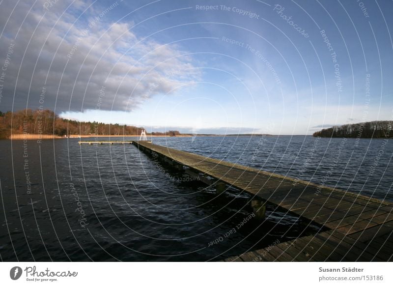 Mecklenburgische Weite Steg Wasser Meer Wasserfahrzeug Holz springen See Mecklenburg-Vorpommern Seenplatte Baum Himmel Winter Fisch