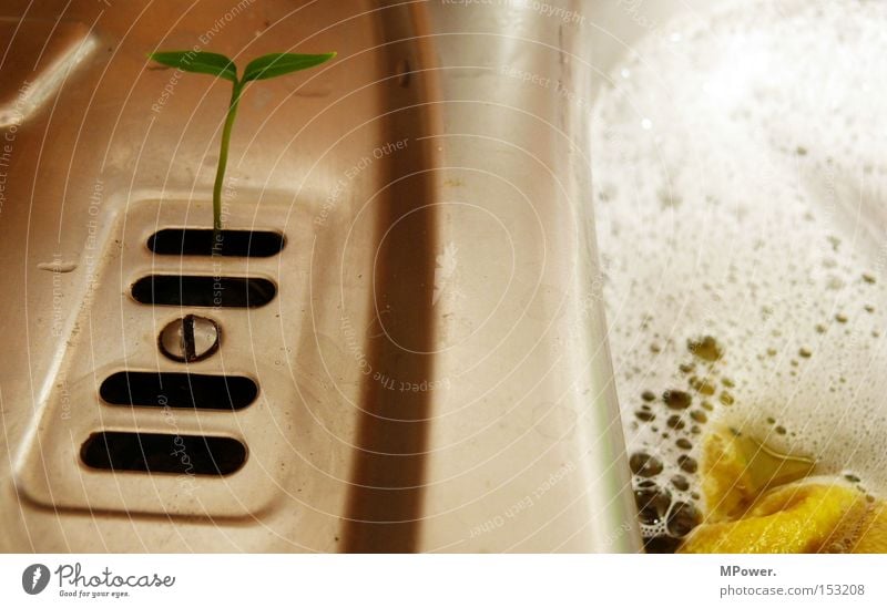 idealer Nährboden... Küche Geschirrspülen Schaum Putztuch weiß Schlitz Sauberkeit Abwasser Waschbecken Küchenspüle Spülmittel Umweltschutz Makroaufnahme