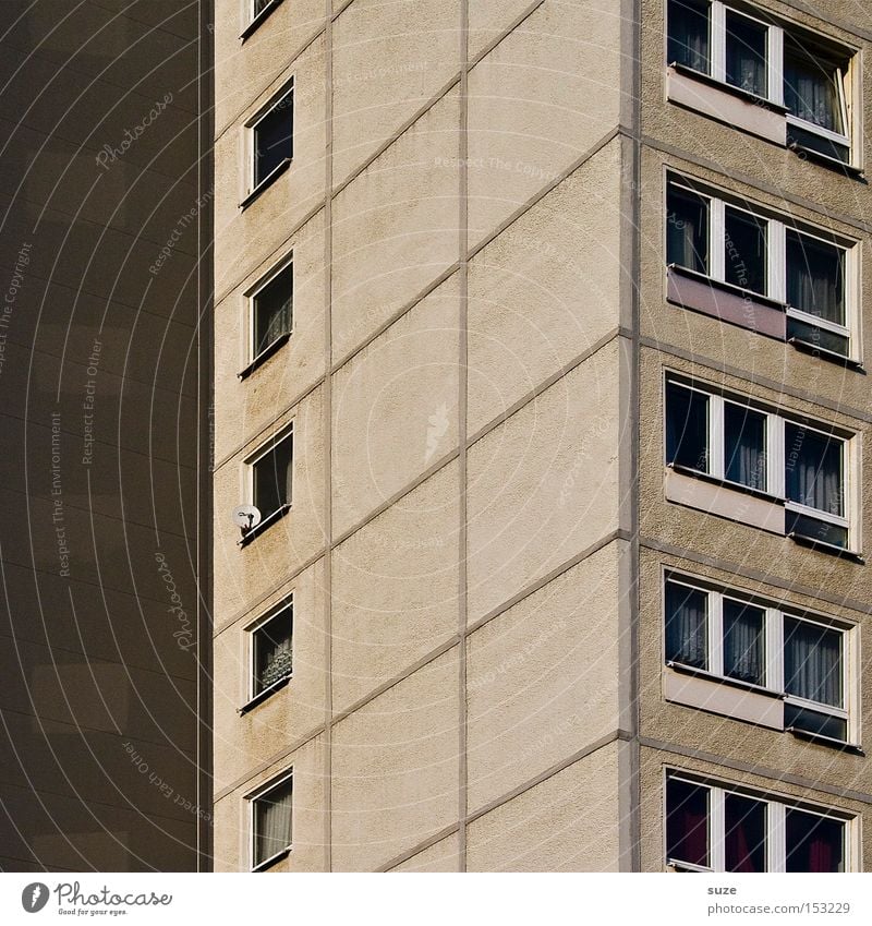 Plattenbau Häusliches Leben Wohnung Haus Gebäude Fassade Fenster Beton Billig trist Vergänglichkeit Neubau DDR Fensterfront Ecke Gardine Immobilienmarkt