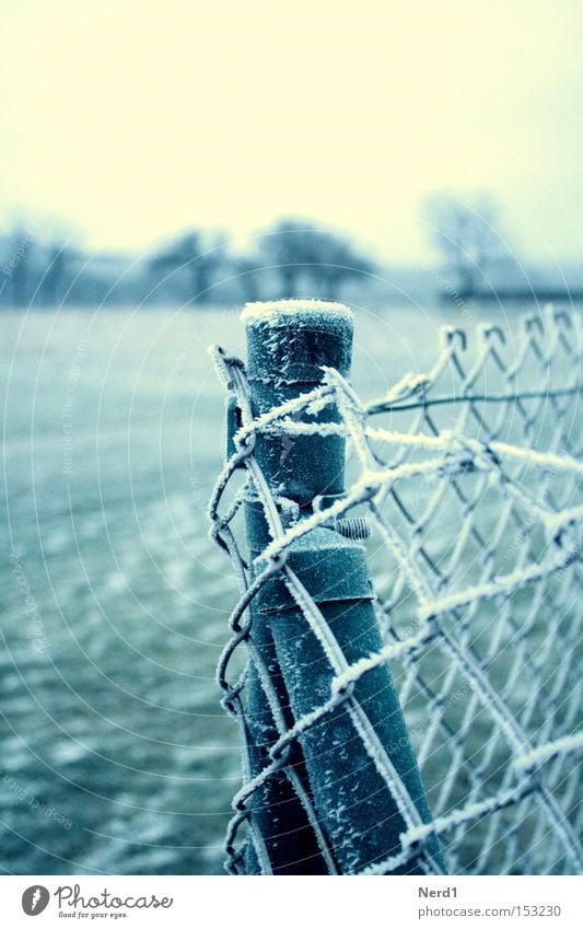 Es ist kalt. Zaun Maschendraht Eis Winter weiß grün Raureif Maschendrahtzaun Detailaufnahme Bildausschnitt Gedeckte Farben Zaunpfahl