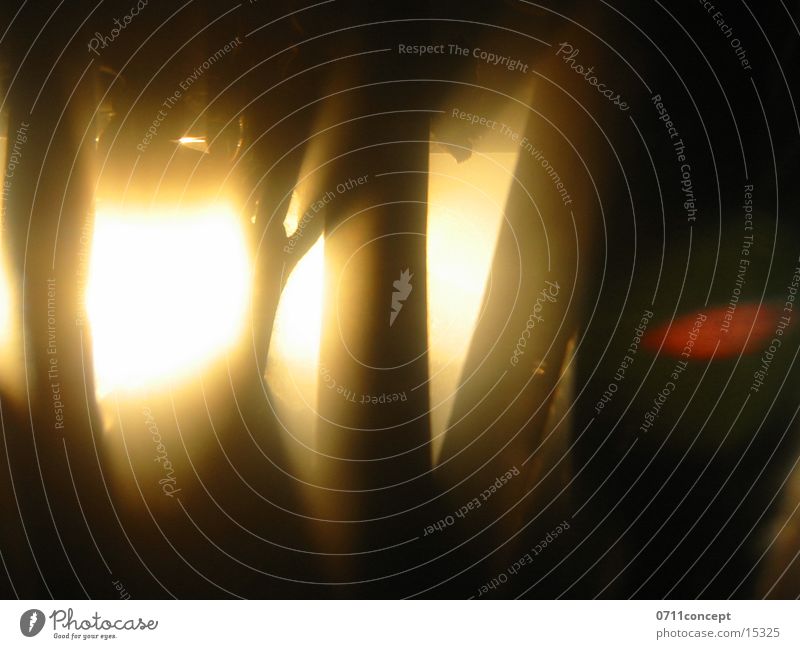 Finsternis dunkel Wald Sonne Schatten