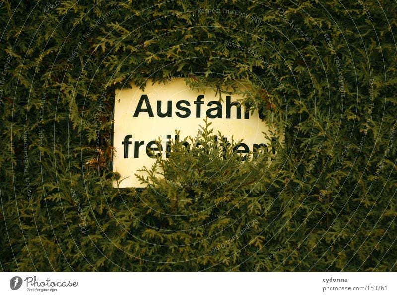 Ausfahrt freihalten! Wachstum Schilder & Markierungen Zweck Funktion Natur Hecke Macht Gegenteil Kommunizieren Detailaufnahme Hinweisschild Warnhinweis