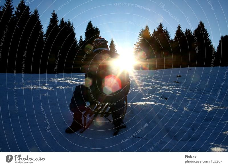 Rodelspaß Rodeln Schnee Eis weiß Winter kalt Schlitten Berge u. Gebirge Sonne Beleuchtung Reflexion & Spiegelung Freude Sonnenstrahlen Licht Himmel hell Baum