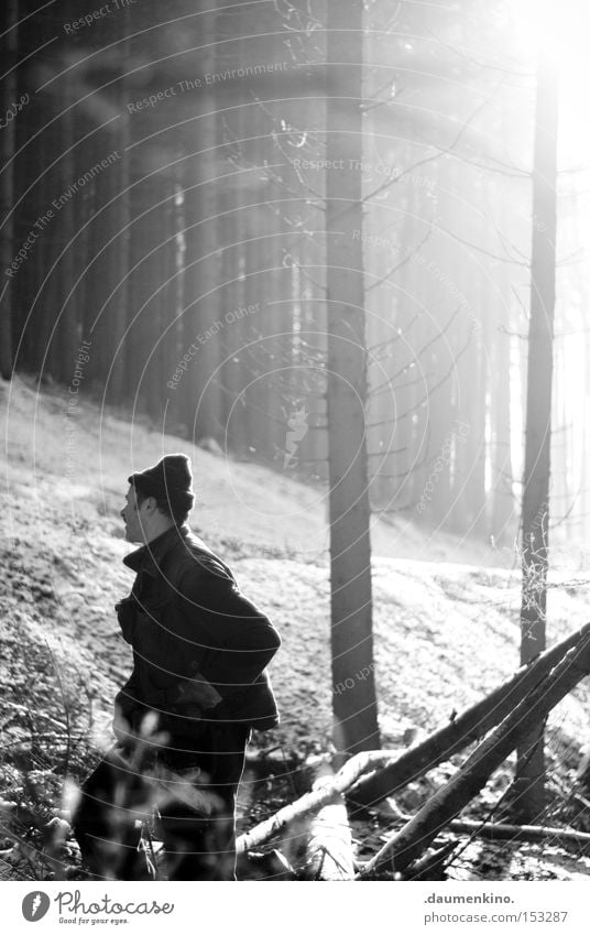 wood delivery Mann Kettensäge Wald Holz Baum kalt Luft Arbeiter Ast Nebel Sonne Handwerk Schnee Eis