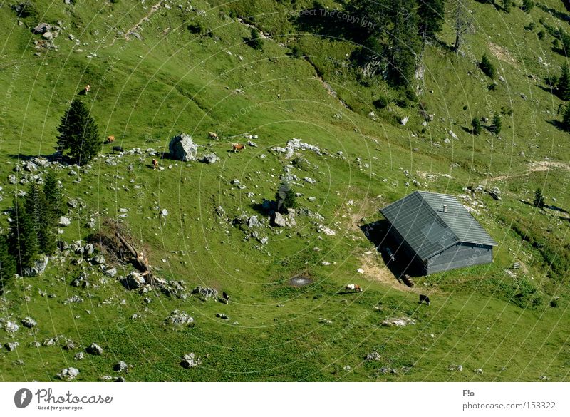 Alm- Aussichten Berge u. Gebirge Berghütte Almabtrieb Wendelstein Almleben Alkkühe Almer