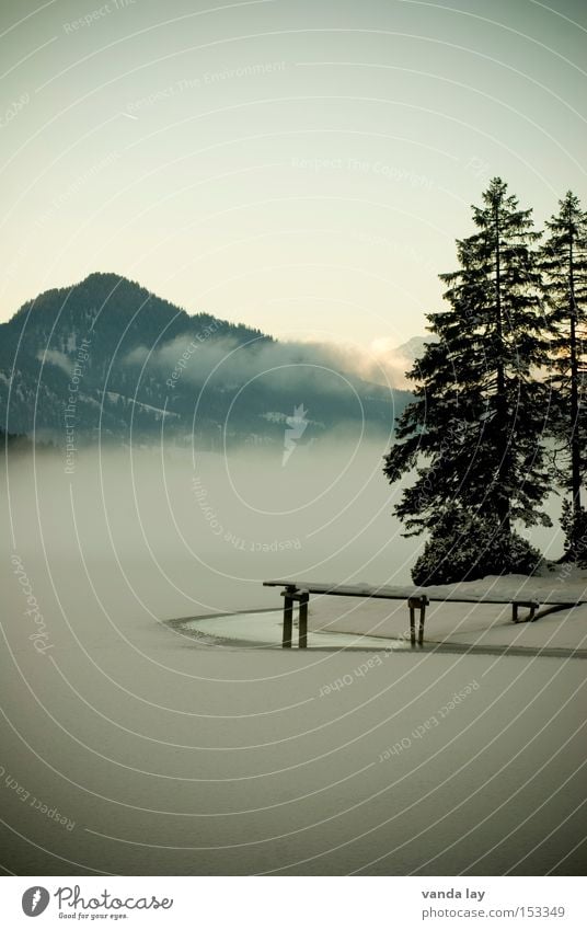 Heiterwanger See II Berge u. Gebirge Alpen Wasser Winter Schnee Eis Baum Stimmung Einsamkeit kalt gefroren Bundesland Tirol Österreich Landschaft Schönes Wetter