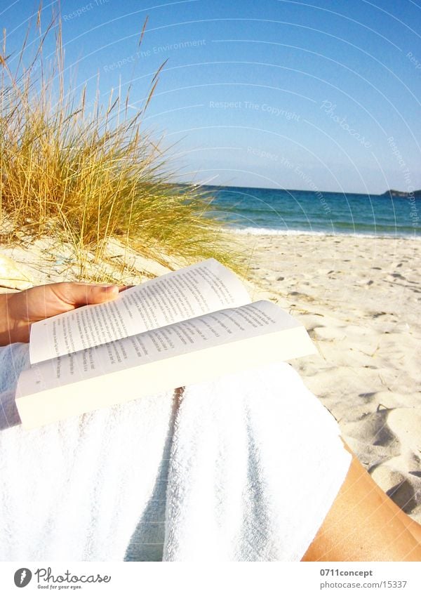 Lesen am Strand lesen Meer Erholung Wellness Buchseite Schilfrohr See Wellen Hand Handtuch Ferien & Urlaub & Reisen Freizeit & Hobby Frankreich Süden Horizont