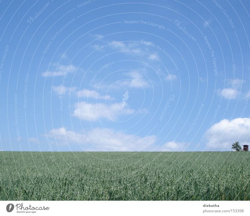 Und es war Sommer Himmel Wolken blau grün Feld Landwirtschaft Hochsitz Baum Ferne Sauerland Jagd