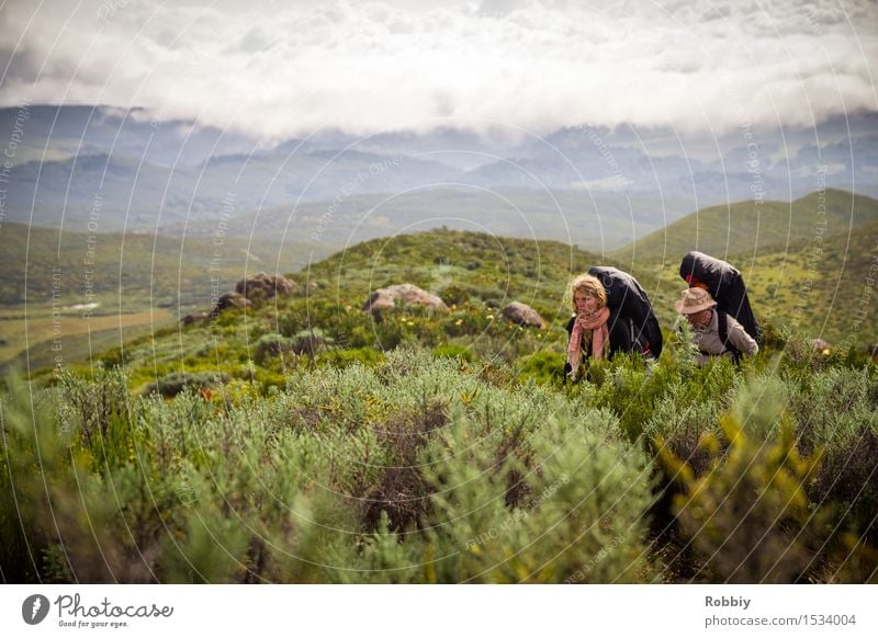 Besteigung Mt. Kenya Freizeit & Hobby wandern Bergsteigen Ferien & Urlaub & Reisen Tourismus Ausflug Abenteuer Ferne Expedition Camping Berge u. Gebirge Mensch