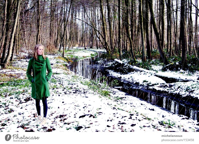 am bach. grün weiß Schnee Bach Mantel Wald träumen Baum Winter links Sehnsucht schön