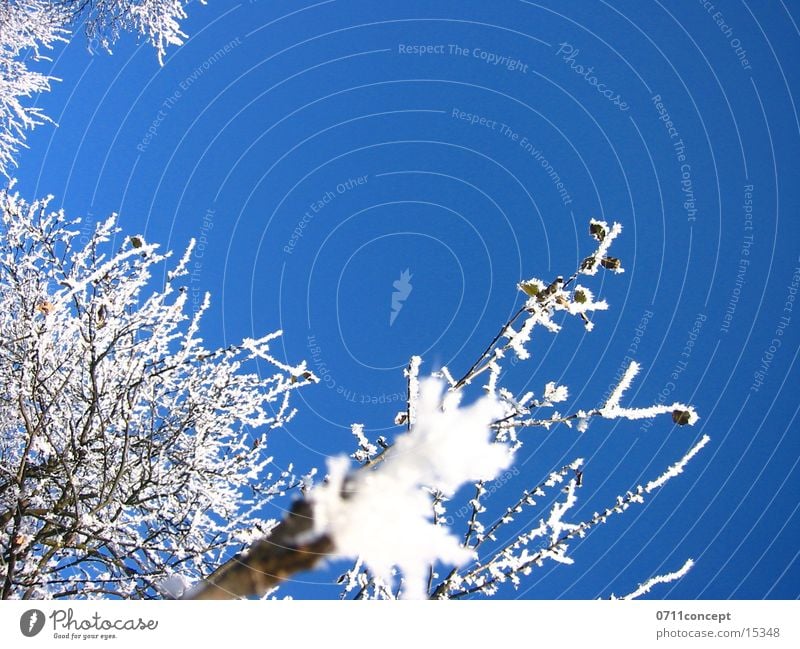 Eiskristalle 03 Winter kalt gefroren Horizont Ferien & Urlaub & Reisen Winterurlaub Winterstimmung Eiszeit Jahreszeiten Eindruck Grad Celsius leer unten