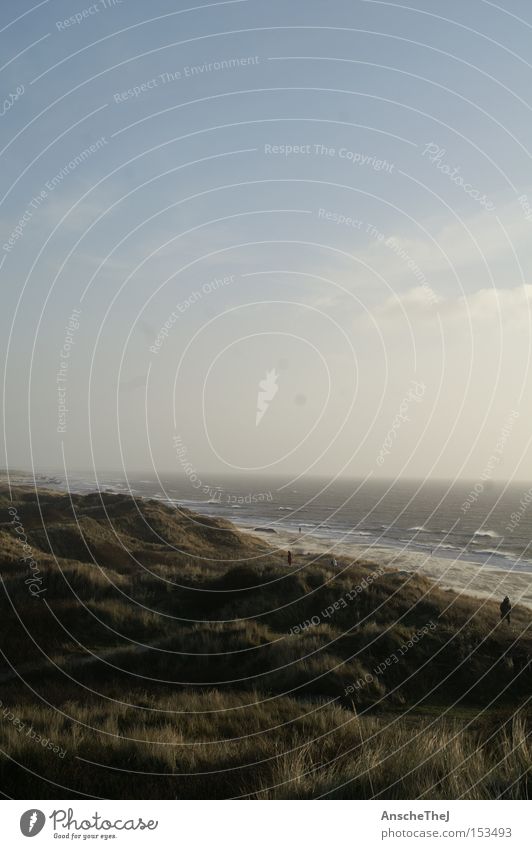 dänemark strand von blavand Düne Stranddüne Wind Sturm Meer Aussicht Nordsee Dänemark Küste Wellen