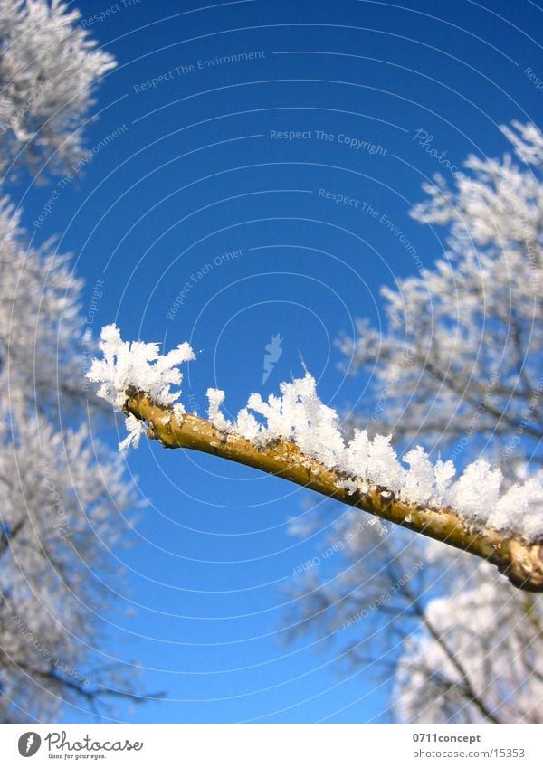 Eiskristalle 06 Winter kalt gefroren Horizont Ferien & Urlaub & Reisen Winterurlaub Winterstimmung Eiszeit Jahreszeiten Eindruck Grad Celsius leer unten