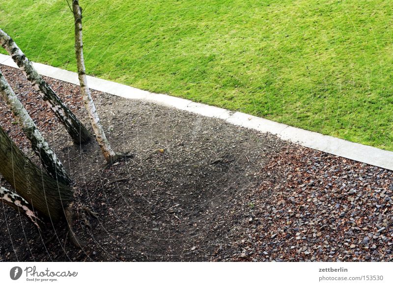 Südgelände Park Gras Wiese Rasen Sportrasen Ecke Grenze Stein Kieselsteine Baum Wäldchen Birke Landschaft Gartenbau Gärtner Gartenarbeit Gärtnerei Mörder