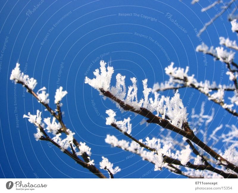 Eiskristalle 06 Winter kalt gefroren Horizont Ferien & Urlaub & Reisen Winterurlaub Winterstimmung Eiszeit Jahreszeiten Eindruck Grad Celsius leer unten