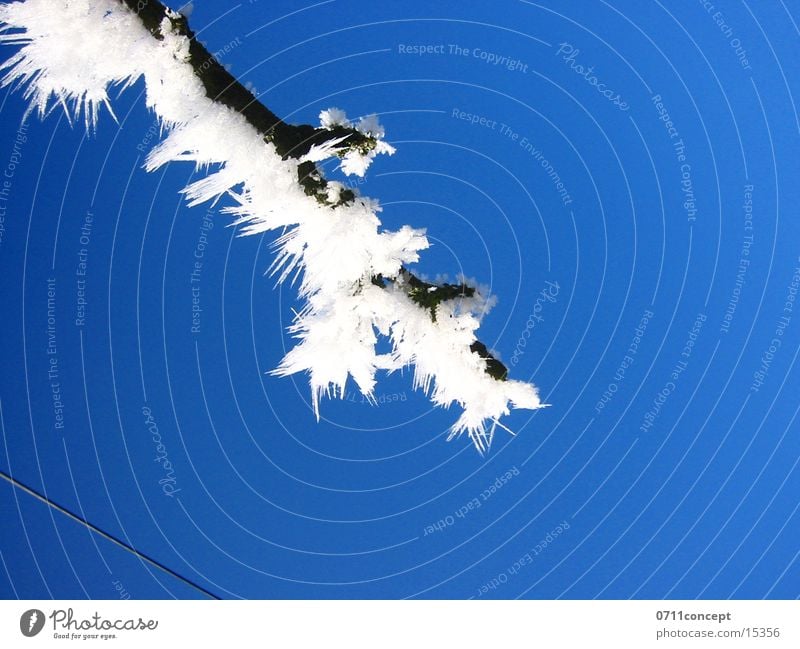 Eiskristalle 02 Winter kalt gefroren Horizont Ferien & Urlaub & Reisen Winterurlaub Winterstimmung Eiszeit Jahreszeiten Eindruck Grad Celsius leer unten