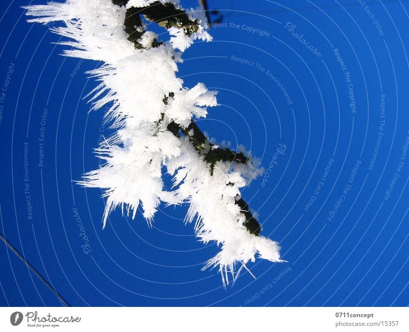 Eiskristalle 01 Winter kalt gefroren Horizont Ferien & Urlaub & Reisen Winterurlaub Winterstimmung Eiszeit Jahreszeiten Eindruck Grad Celsius leer unten