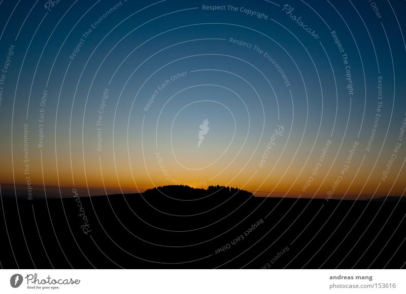 sunset Baum Dämmerung Natur Abend Abenddämmerung Wäldchen Hügel Sonnenuntergang Farbverlauf kalt dunkel Bergkuppe Wald