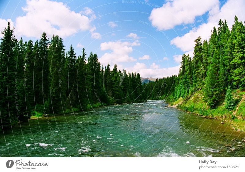 Maligne River Alberta Kanada Baum Wald Nationalpark Wasser fließen Wolken grün Sommer Amerika Jasper Gewässer Elektrizität Fluss Bach Küste