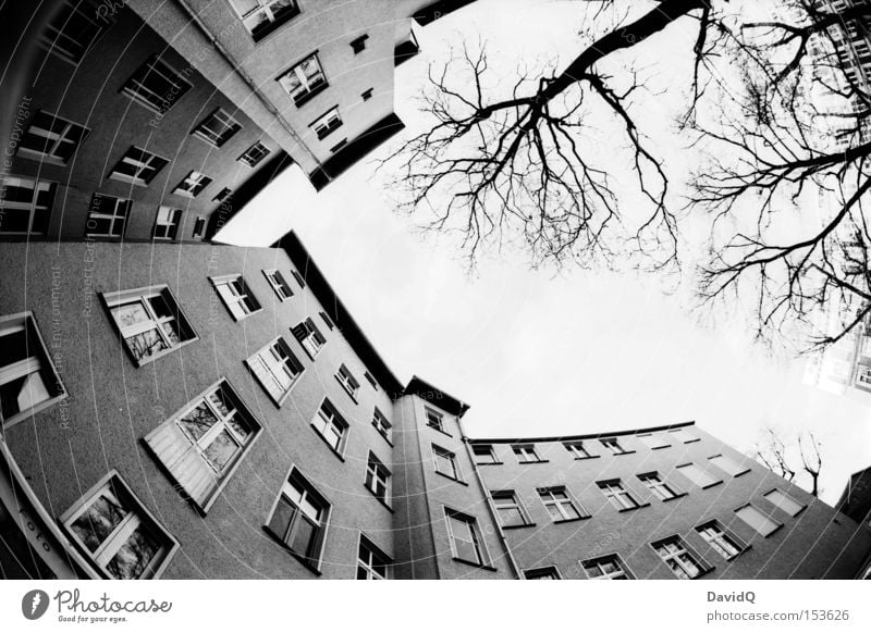 but the world goes round... Ecke Hinterhof Block Altbau Haus Stadthaus Fassade Fenster Baum Himmel Fischauge Schwarzweißfoto Orthochrom 25 ASA 16mm