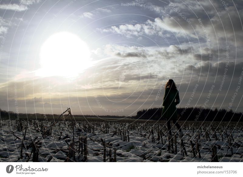 bitte folge dem brennenden ruf der sonne. Sonne Schnee Horizont Wolken Feld Lust fordern Sehnsucht Rücken Abschied Hoffnung Zukunft Wäldchen hell weiß